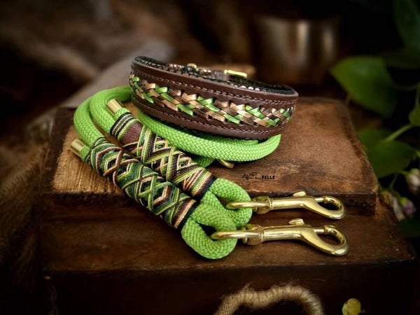 Sofortkauf-Set Leder Handgenäht mit Aufflechtung HU 37-43cm Leine 2m 2fach