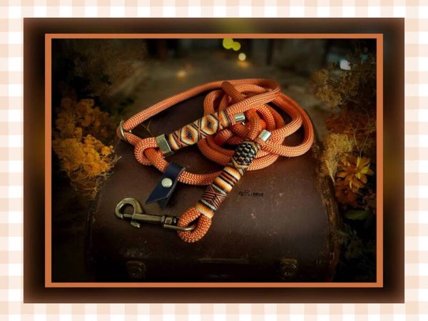 Retrieverleine Modell "Fuxi“
