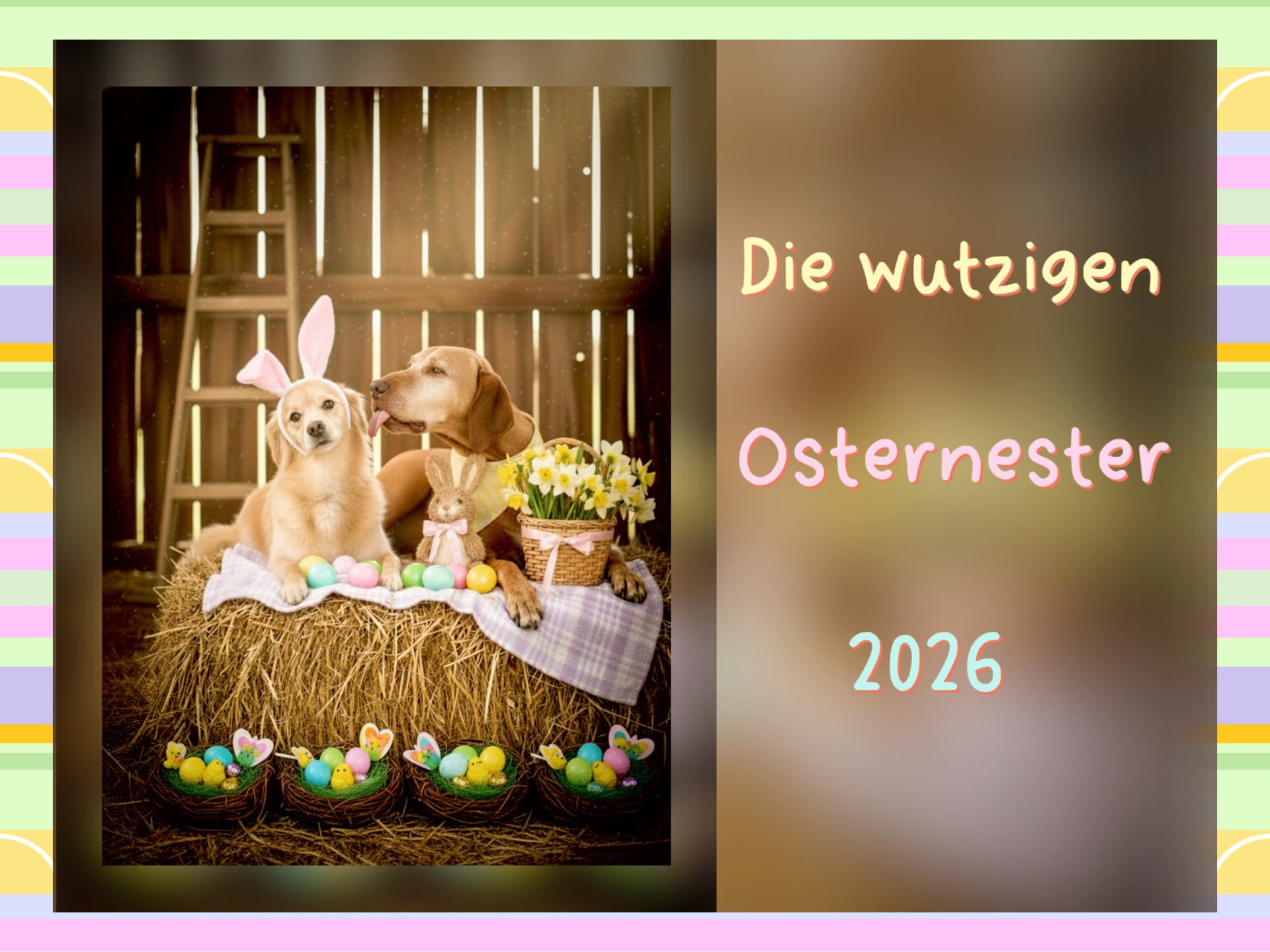 Die wutzigen Osternester 2026