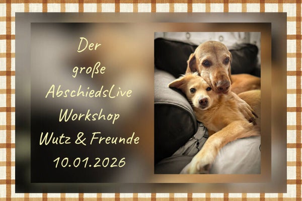 Der große AbschiedsLiveWorkshop Wutz & Freunde 10.01.2026
