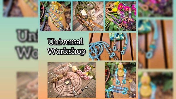 Universal Workshop Februar 2024