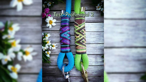 Test Profi Modul 2 - September Videoanleitung