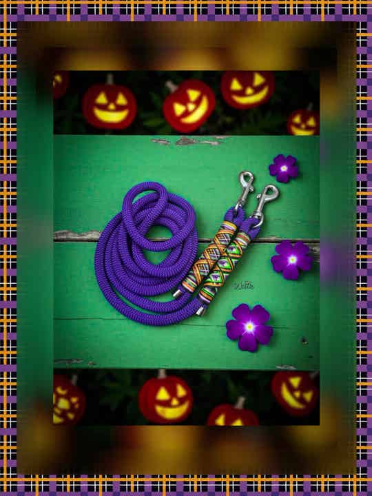 Sofortkauf-Leine Hexentanz