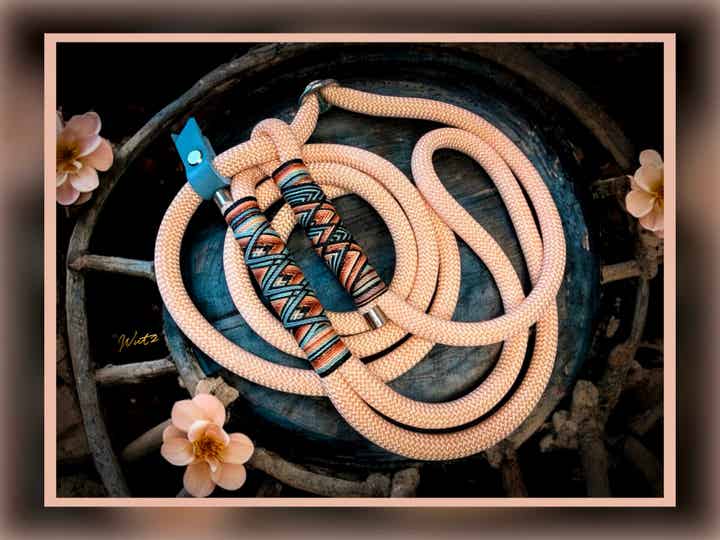 Sofortkauf-Retrieverleine Lachs/Capriblau  HU ab 36cm 1,5m mit Handschlaufe