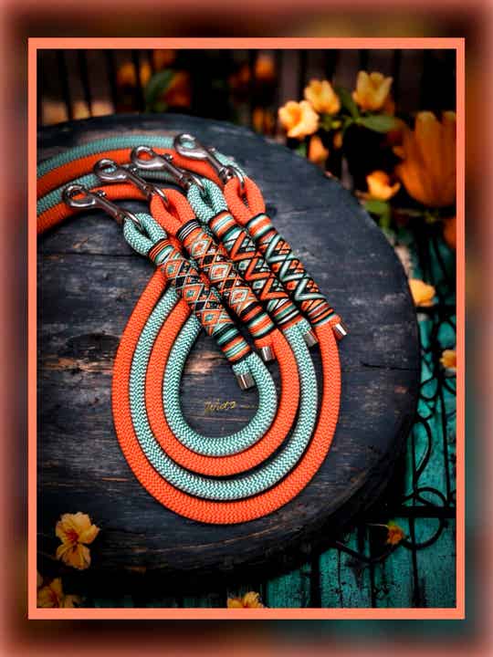 Sofortkauf-Leine Teal oder Orange