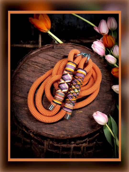 Sofortkauf-Leine Fuxi