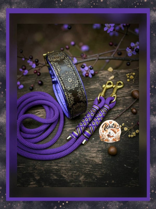 Sofortkauf-Set Leder Handgenäht Espresso/Purple HU 36-42cm  Leine 2m2fach verstellbar