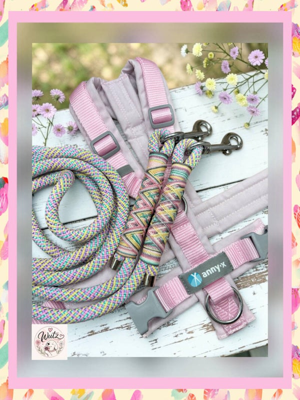 Sofortkauf-Leine passend zu  Annyx Zuckerwatte-Pastell