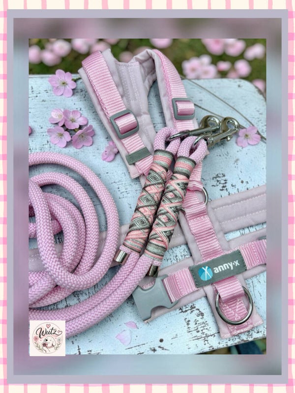 Sofortkauf-Leine passend zu  Annyx Zuckerwatte-Magnolie