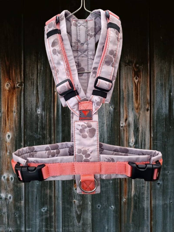 Schnecki Geschirr "Tatzen Lachs"