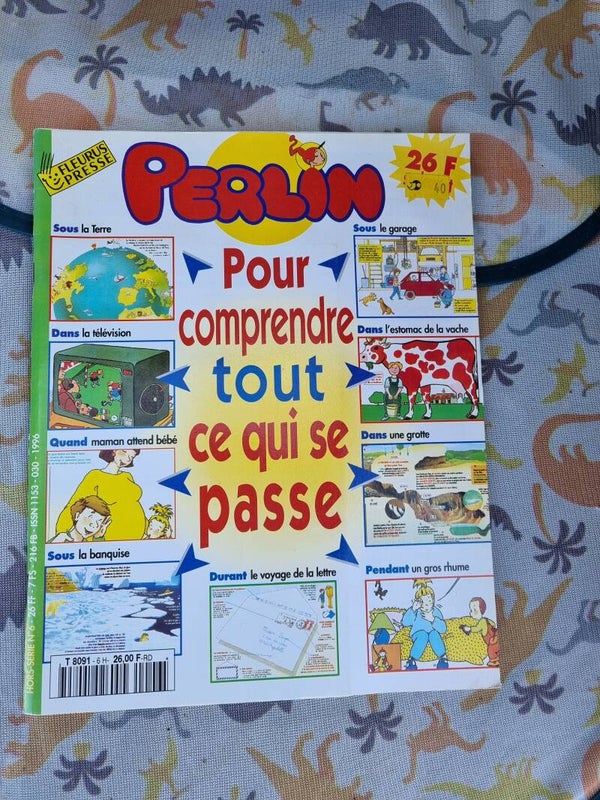 Perlin, pour comprendre tout ce qui se passe