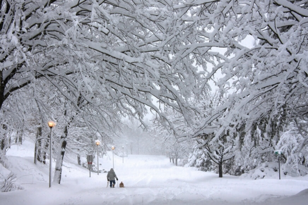 Pochette Patreon de l'hiver