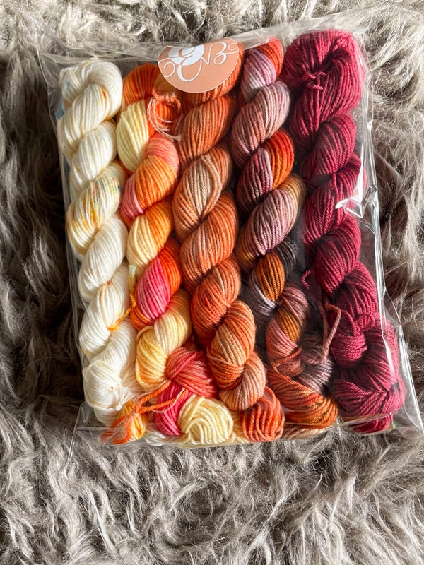 Kit de minis • Merino Nylon • Sunny-Bordeaux