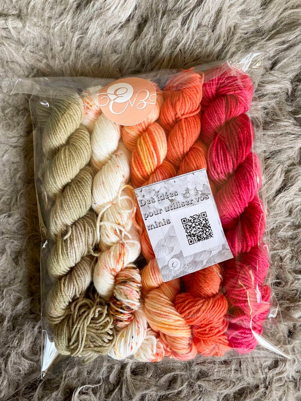 Kit de minis • Merino Nylon • taupe>rouge