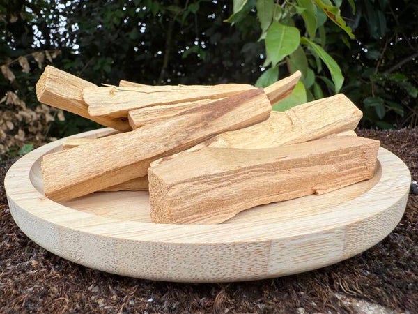 🌳PALO SANTO DU PÉROU🌳