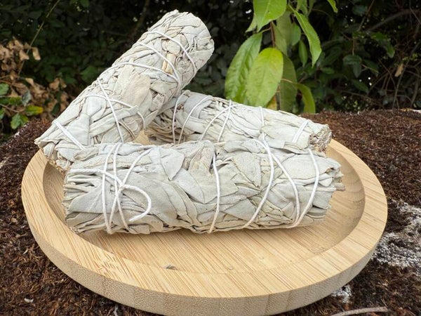 🌿BÂTON DE SAUGE BLANCHE