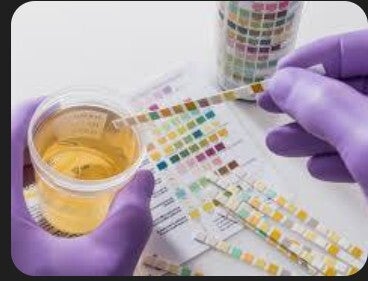 Level 1 Standard Panel (Drug Screening)