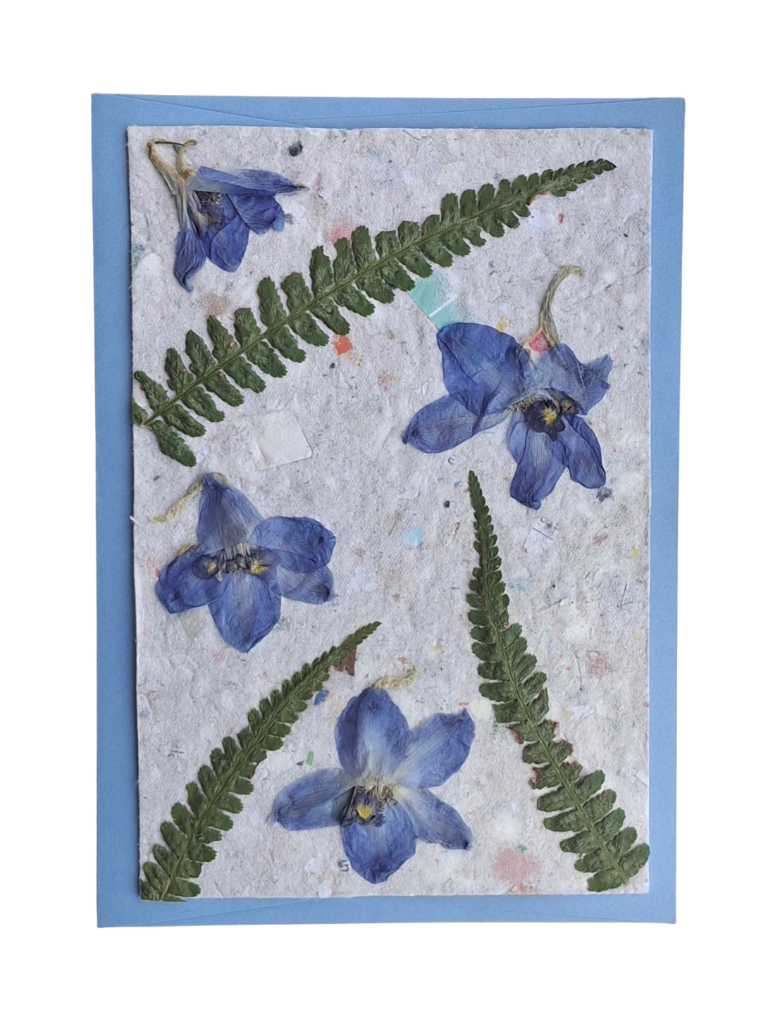 Kaart Delphinium & Varen