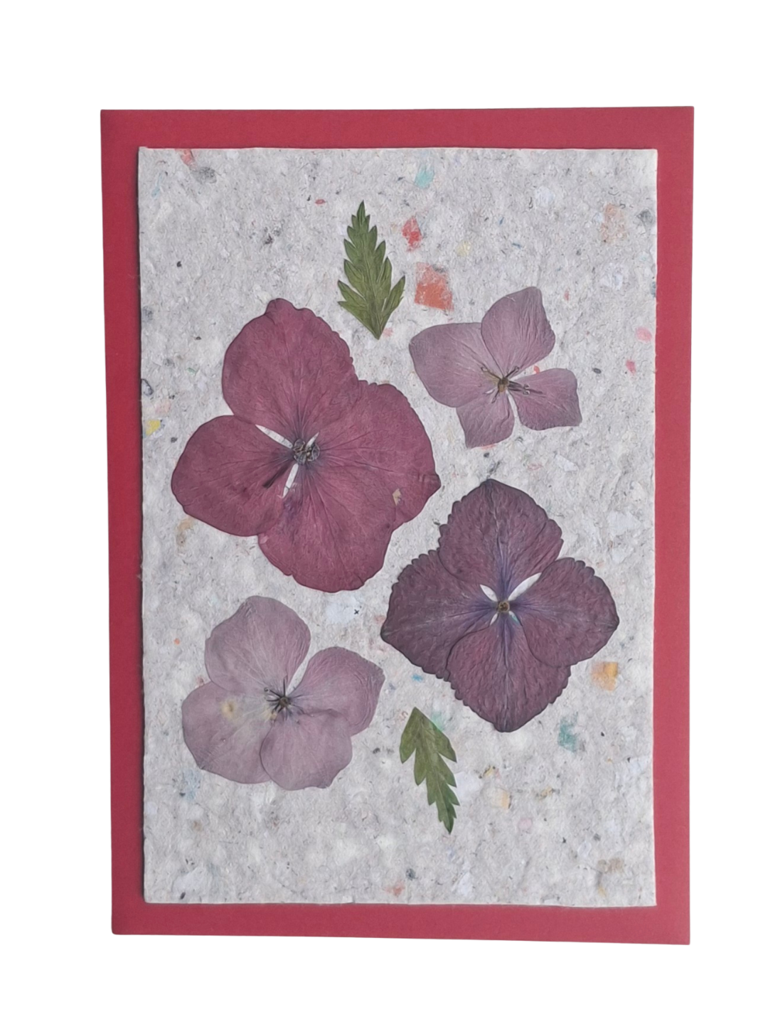 Kaart Hortensia & Varen