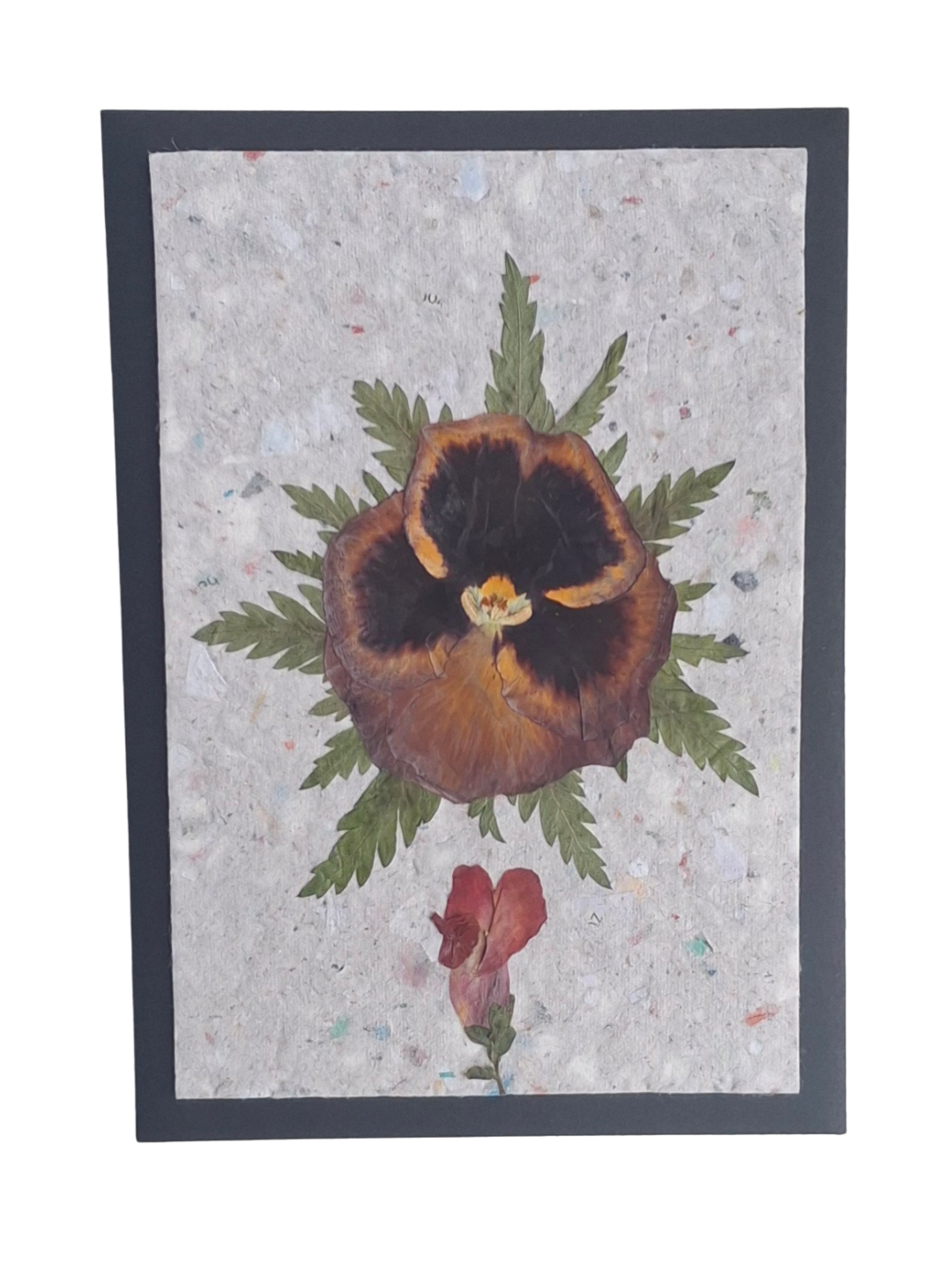 Kaart Viool, Antirrhinum & Varen