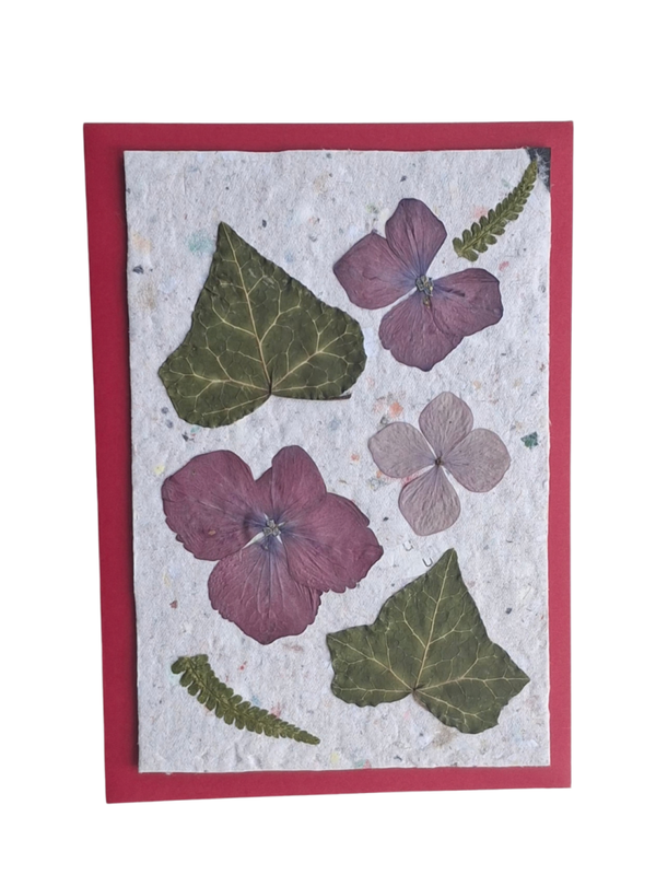 Kaart Hortensia & Hedera