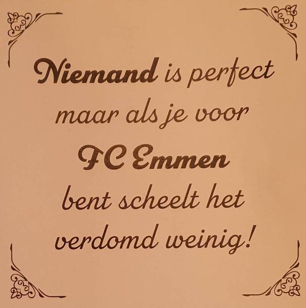 FC Emmen