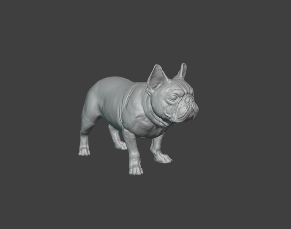 bouledogue francais 01 / French Bulldog 01 1/16
