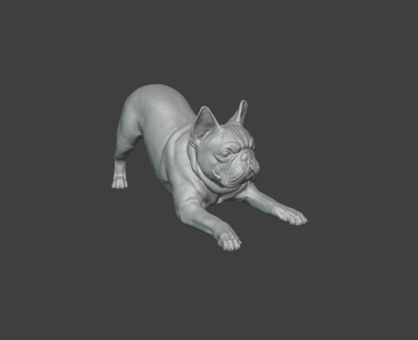 bouledogue francais 04 / French Bulldog 04 1/16