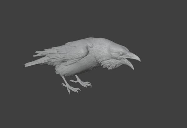 Corbeau / crows N°2 1/16