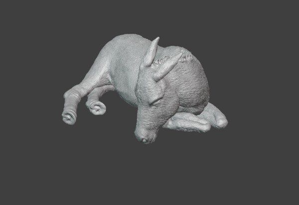 Âne N°2  / Donkey N°2