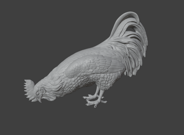 Coq N°2 / Rooster N°2
