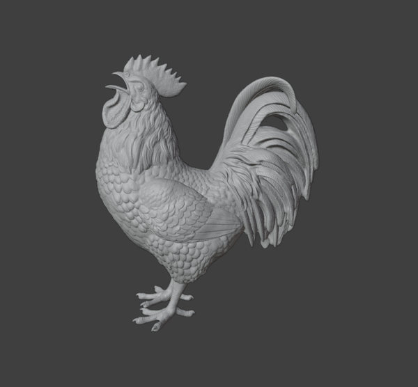 Coq N°4 / Rooster N°4 1/16