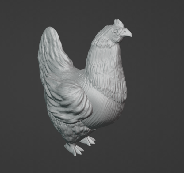 Poule/chicken 01 1/16