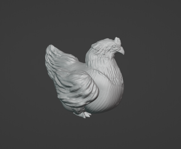 Poule/chicken 02 1/16