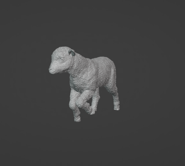 AgneauN°2 /LambN°2