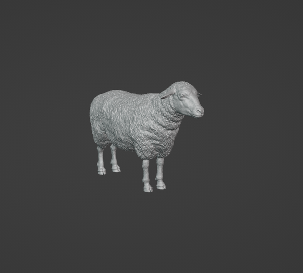 MoutonN°2 /SheepN°2