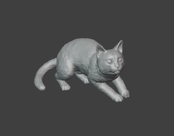 Chat/Cats 05