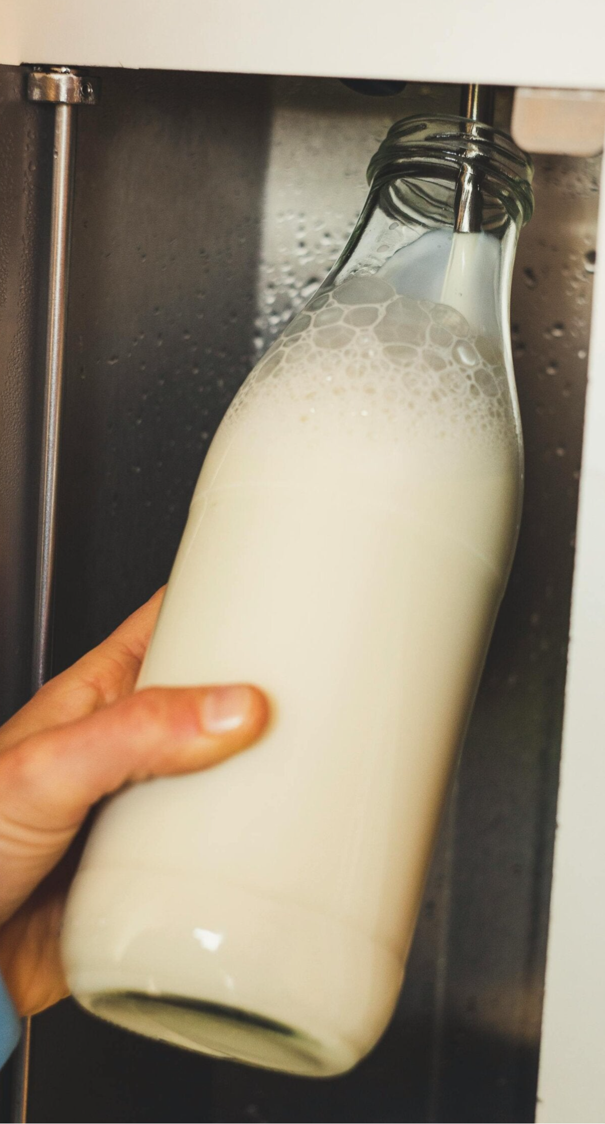 Milk in glass bottles fill your own from a farm milk vending machine