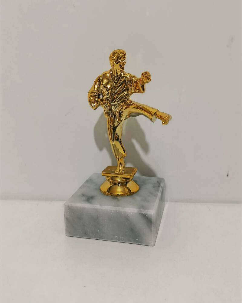 Figura karate karatista