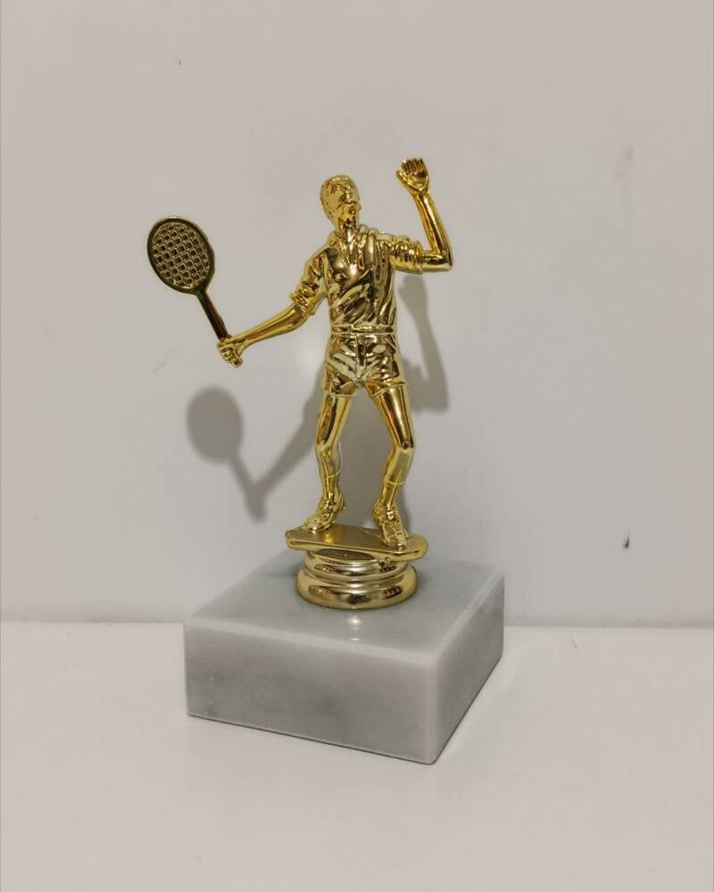 Figura teniser