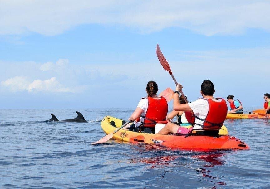 Between paddles and smiles, every excursion becomes an adventure worth telling.