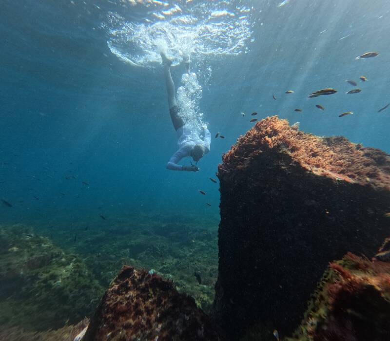 customer swimming in turtle bay in tenerife
