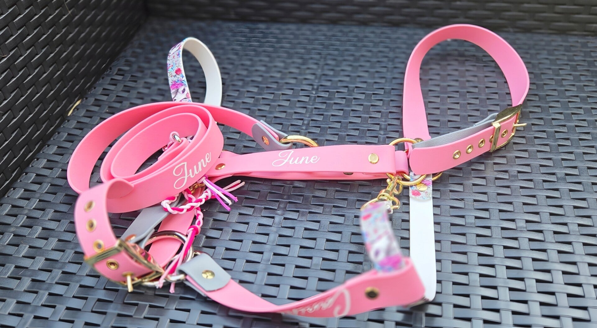 Longe + Licol en Biothane – Taille COB