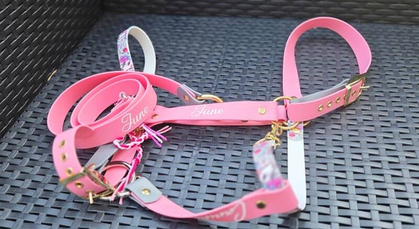 Longe + Licol en Biothane – Taille COB