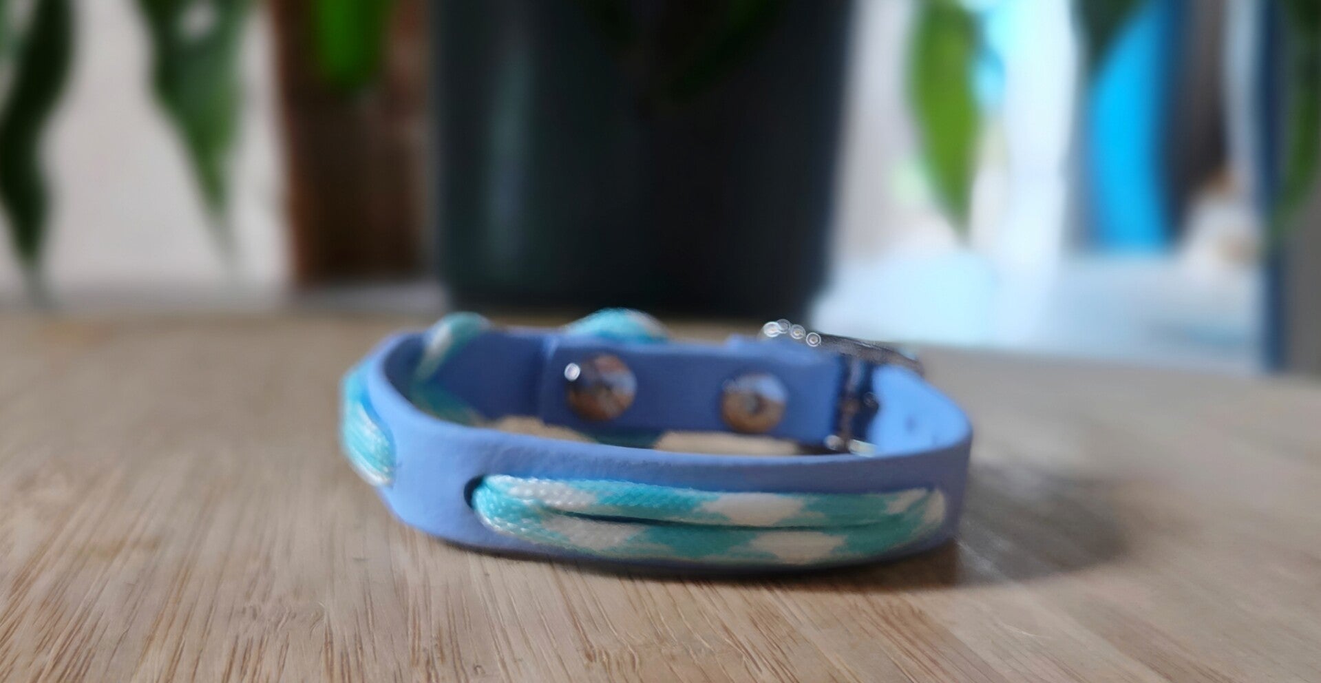 Collier mini chien biothane / paracorde phosphorescent