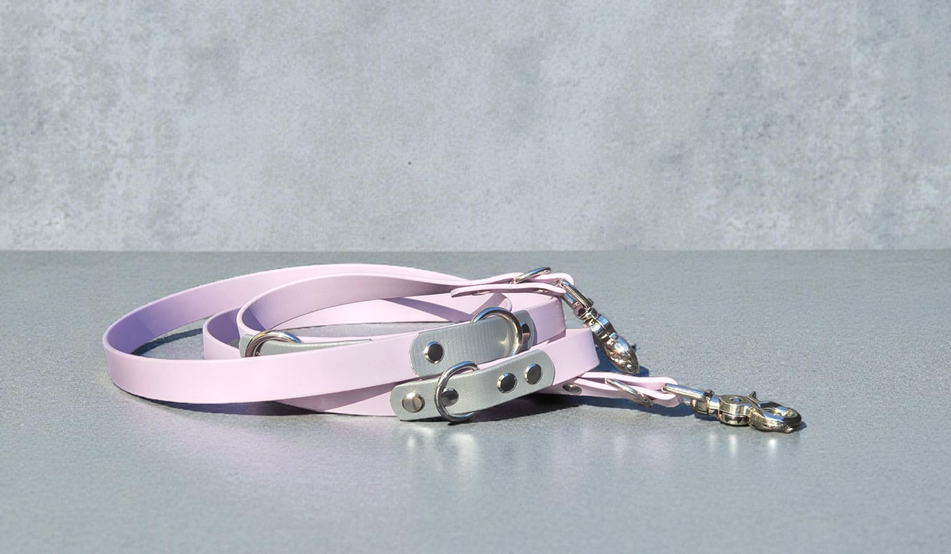 Laisse multiposition