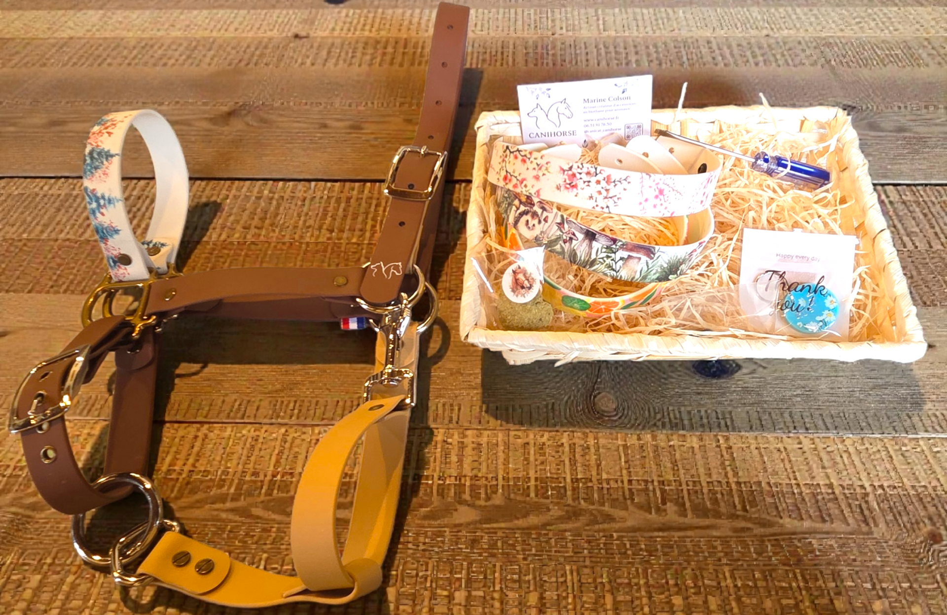 Coffret SWAP Equinox en biothane Taille COB