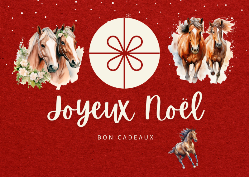 Carte cadeau Equine de noël