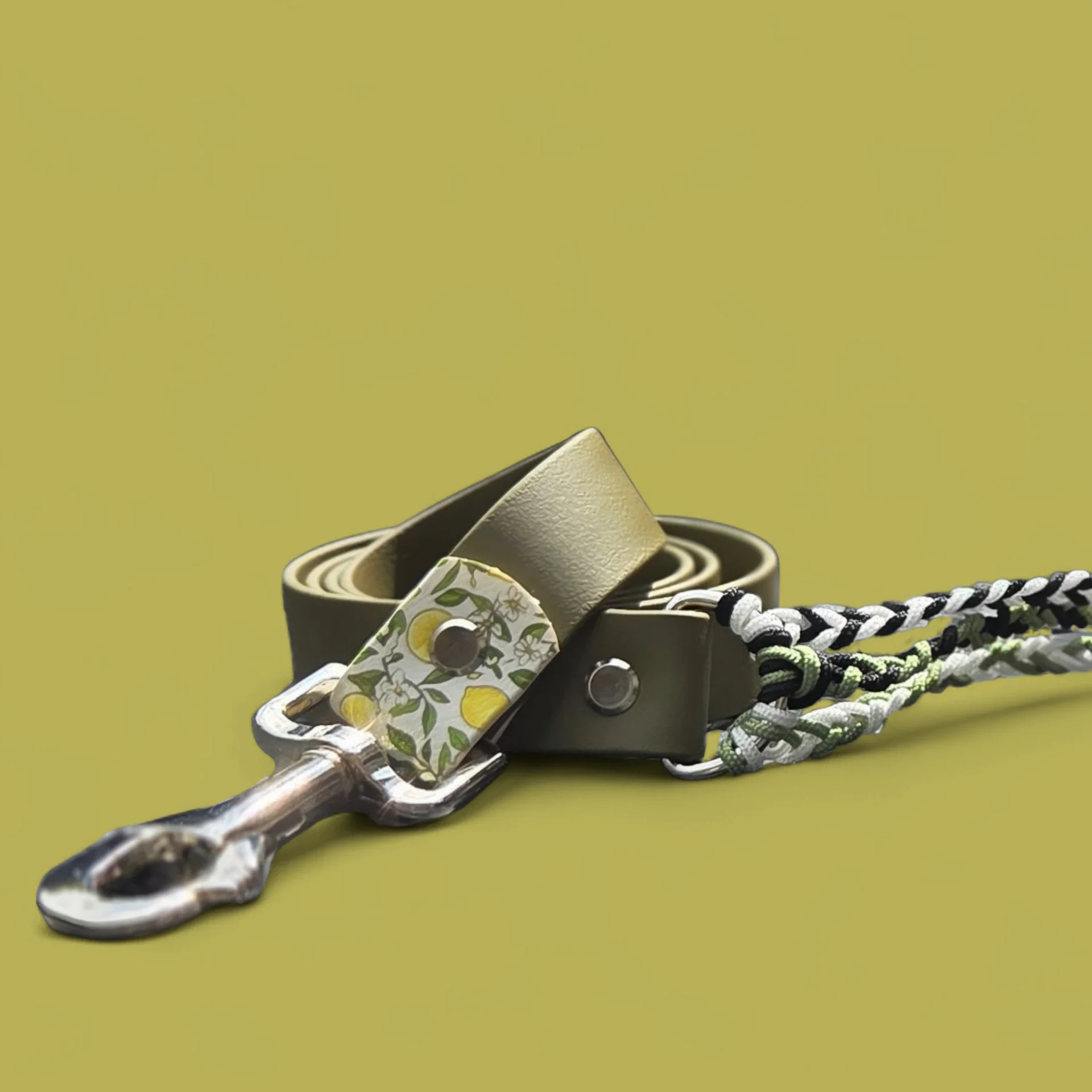 Ensemble Licol + Longe en Biothane – Taille X-FULL