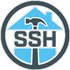 Skillful solutions handyman services llc